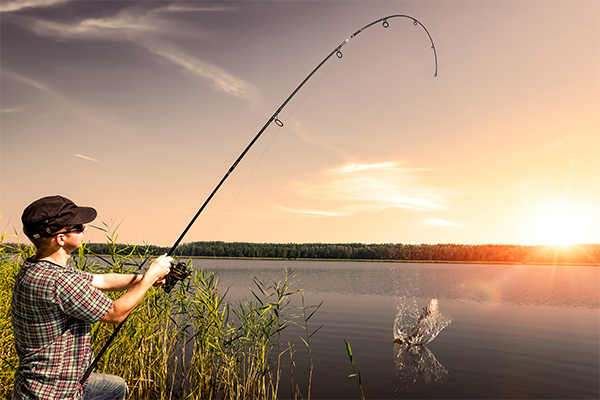 fishinglicense.org blog: FishingLicense.org Presents the Perfect Additional Hobbies for Fishermen